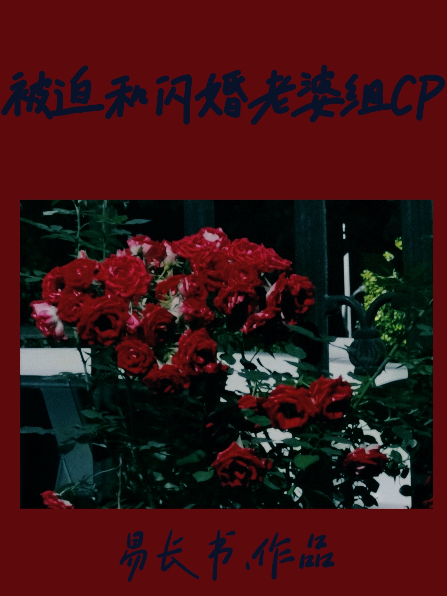 被迫和闪婚老婆结婚的小说