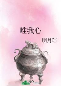 唯我心 明月讲的什么
