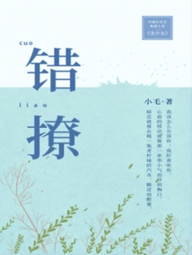 错撩电视剧免费观看