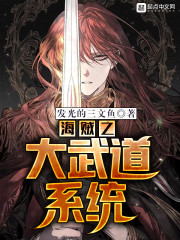 海贼之大将系统