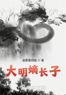 大明嫡长子TXT下载八零