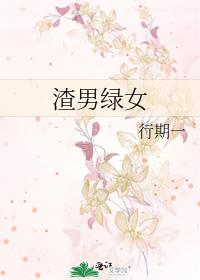 渣男绿女小说讲什么