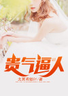 贵气意思