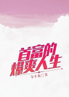 首富人生小说