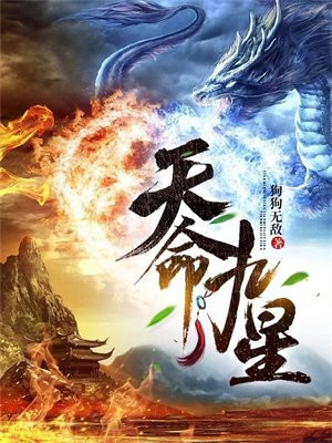 天命九星算命