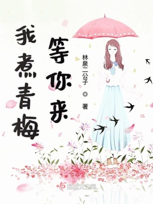 青梅等我回来小说
