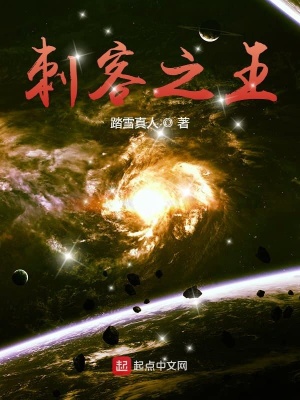 刺客之王小说下载