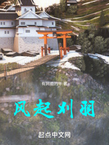 风起羽裳电视剧