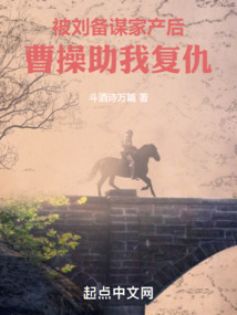被刘备谋家产后,孟德迎我入曹营TXT