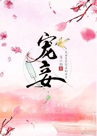 宠妾小宴
