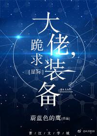 大佬跪求装备百度网盘