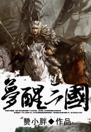 梦醒三国小说