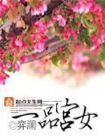 一品宫女小说百度云