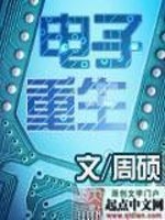 电子重生小说