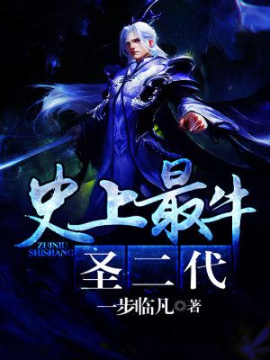 史上最牛圣二代TXT免费笔趣阁