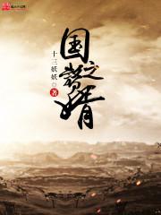 赘婿之王百度百科