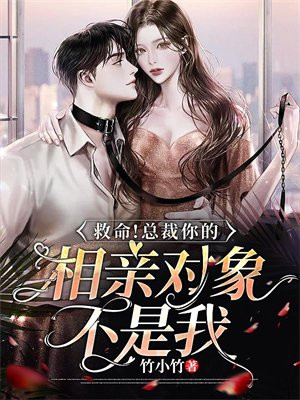 相亲对象是总裁大人