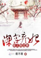 深宫弃妃:皇上别过来