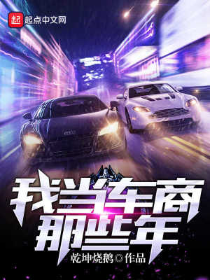 我当车商那些年下载