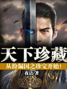 天下珍藏从捡漏国之珍宝开始 TXT下载