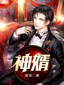 神婿医仙