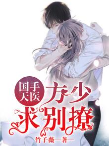 主角∵方少阳神医小说