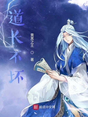 道士不坏小说