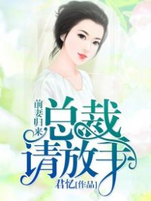 小说前妻归来总裁请放手