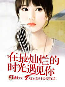 在最灿烂的时光遇见你小说