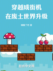 穿越成街机,在废土世界升级
