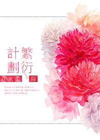 综繁衍计划内容