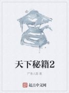 天下秘籍书评