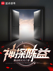 神探陈益小说