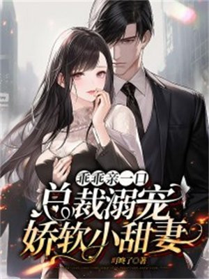 总裁乖乖宠妻入怀小说