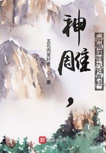 开局神雕侠侣
