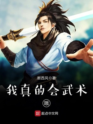 我真的会武术哦 小说