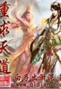 重求天道 小说
