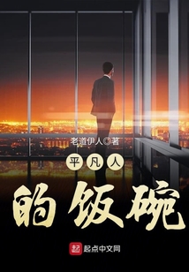 平凡人的饭碗 小说