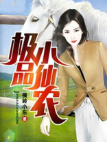 极品小仙农孙洋小说