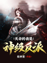 天命的我是神级反派TXT下载