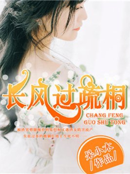 长风过疏桐小说