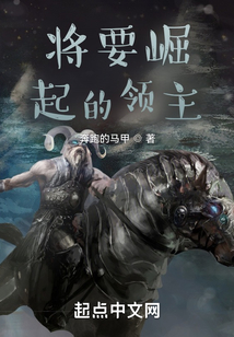 英雄无敌之领主崛起