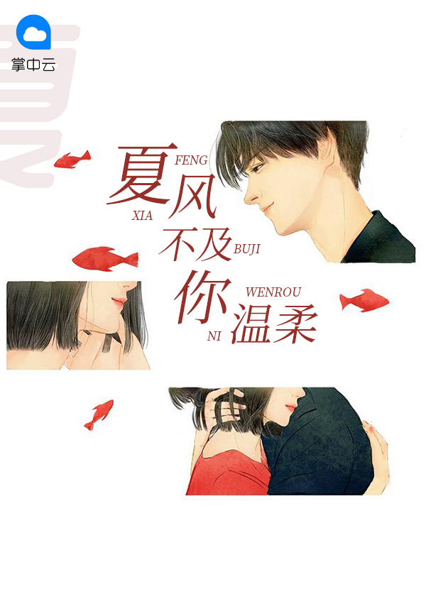 夏风不及你温柔小说