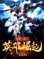 制霸三国之英雄崛起TXT下载小说