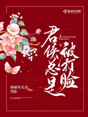 君侯总是被打脸好看吗