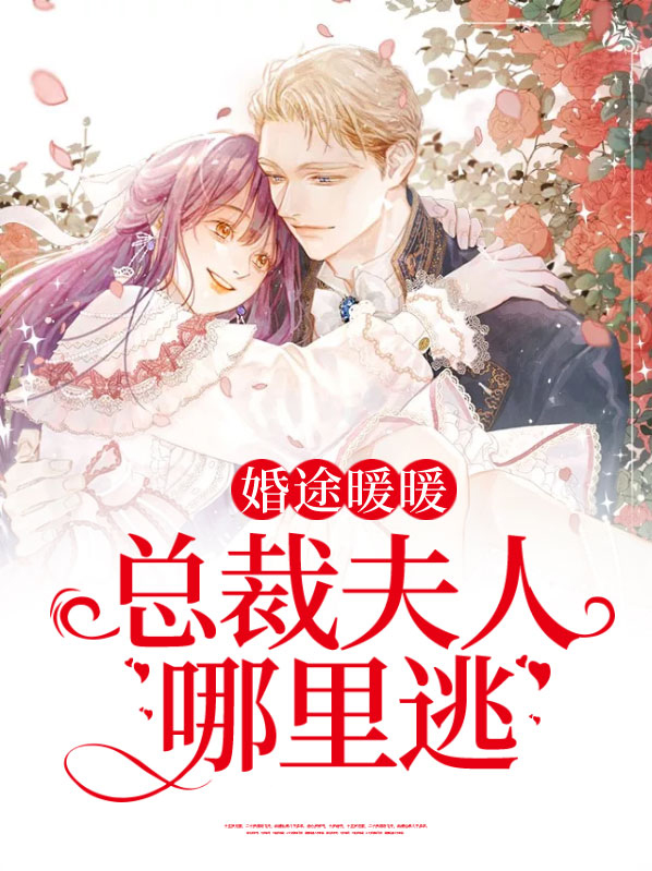 总裁暖婚系列