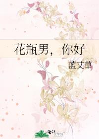 花瓶男,你好 小说