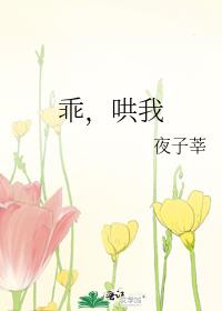 乖,哄我小说免费阅读