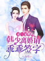 豪门宠婚韩少离婚请签字