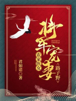 将军宠妻农家医女小说